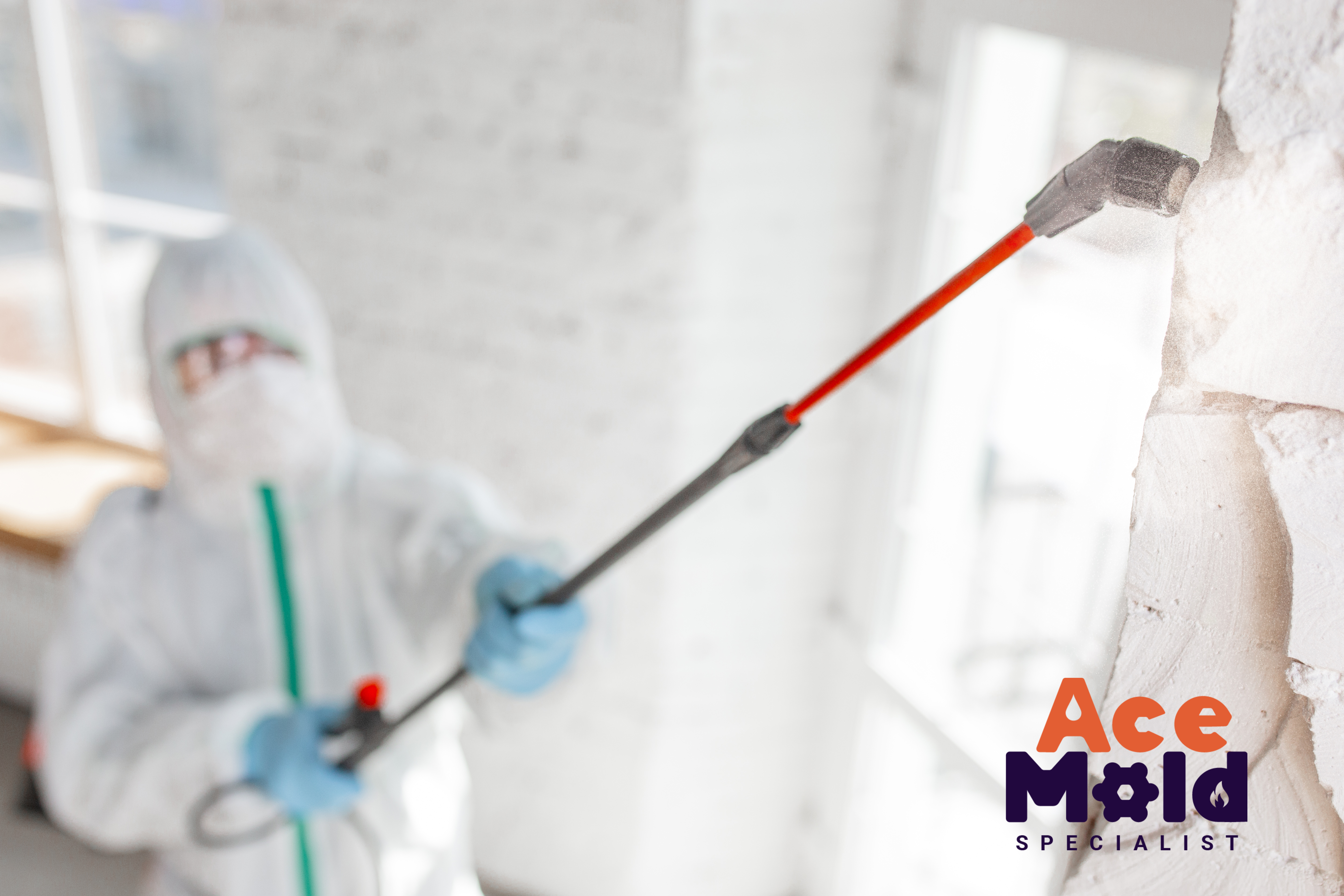 The Health Risks of Mold Exposure in New York: What You Need to Know